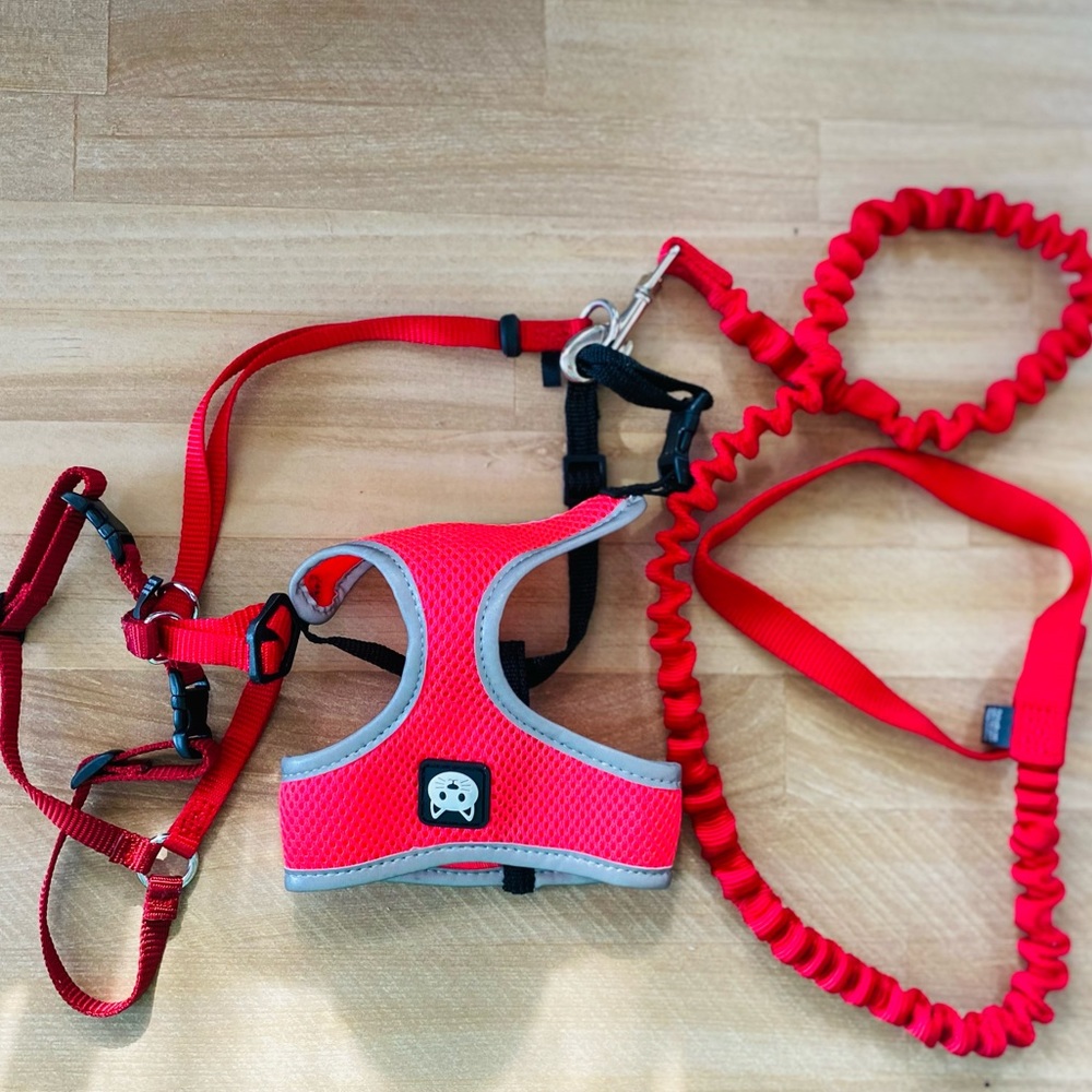 | cat harnesses & cat leash |